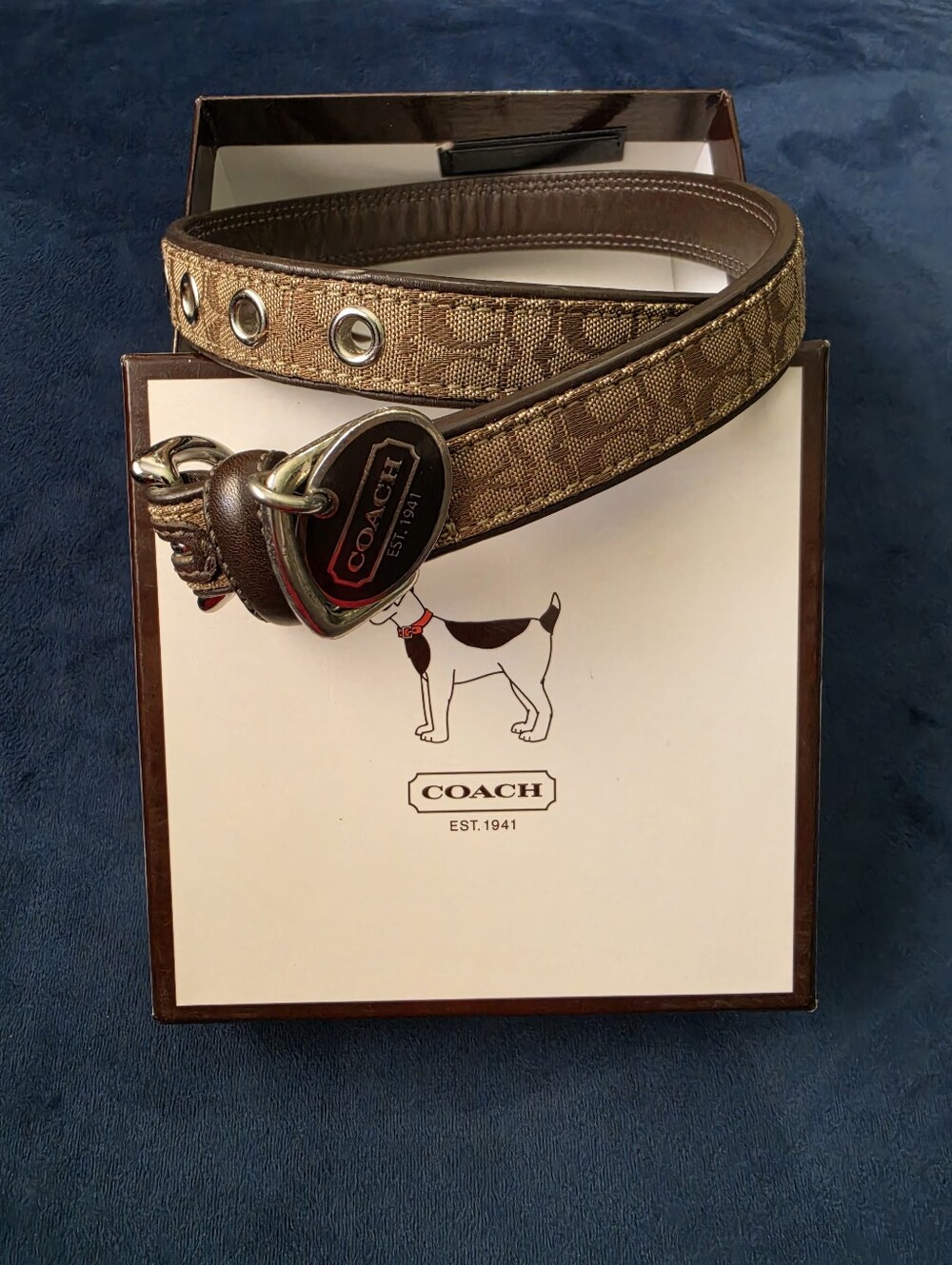 Coach Brown Signature Canvas Belt with Silver-Tone Hardware